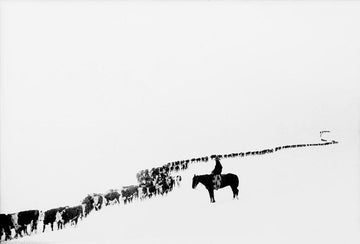 On the Walls: Charles J. Belden's Portraits of the American West
