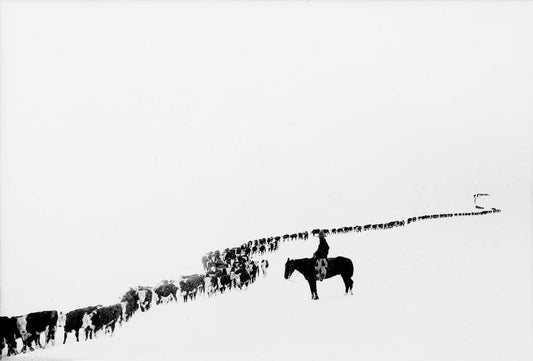 On the Walls: Charles J. Belden's Portraits of the American West